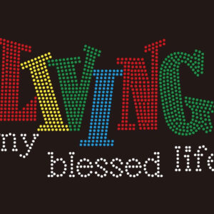 Living My Blessed Multi Color
